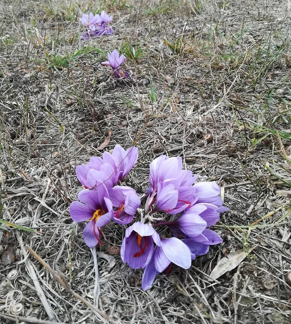 Vila Vento Di Maremma Grosseto 0*,