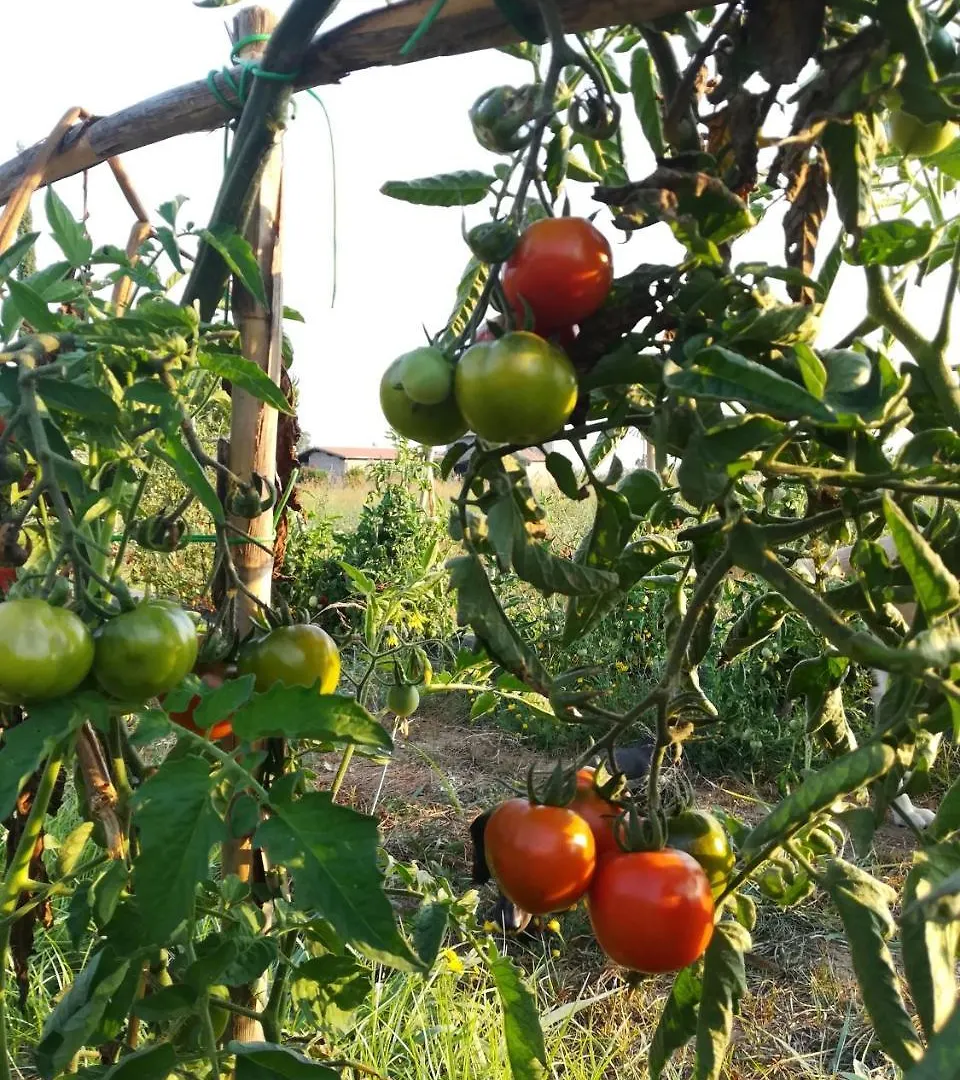 Vento Di Maremma Villa Grosseto Farm stay