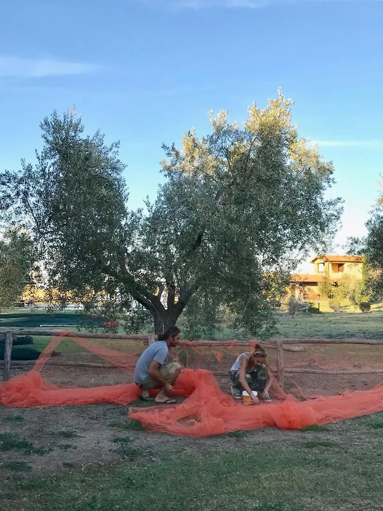 Vento Di Maremma Villa Grosseto Italy